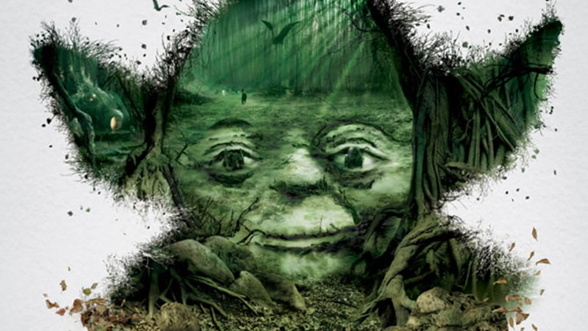 What Forces shape you, Star Wars Yoda