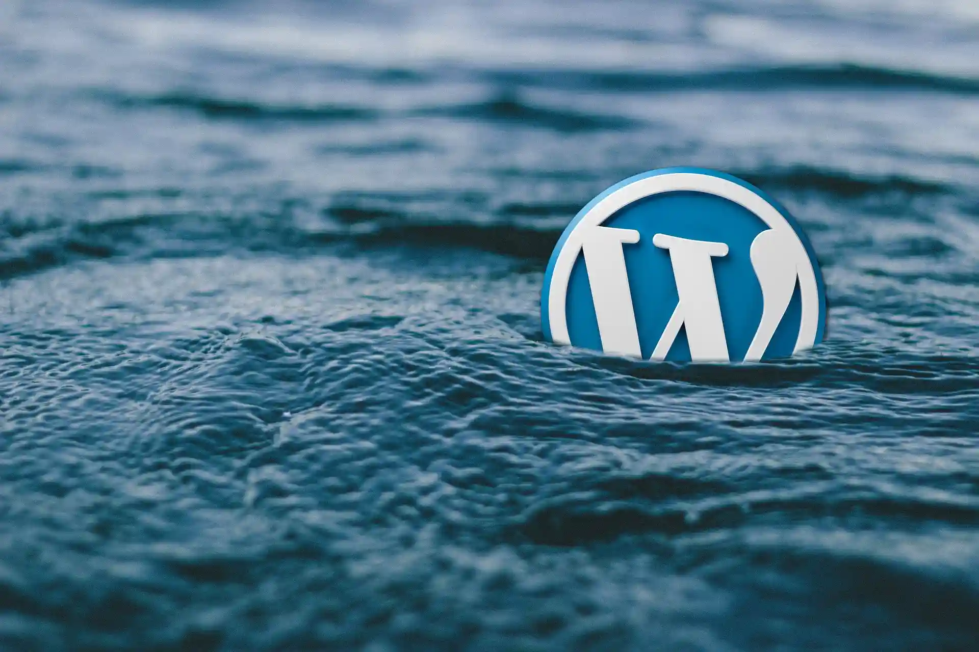 wordpress logo floating in the sea